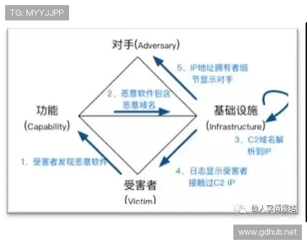 莱奥与福登进攻多面手角色差异及体系适配性分析