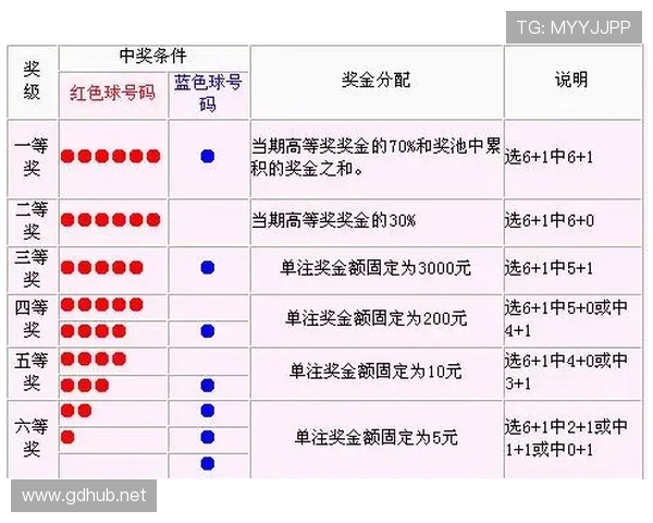干扰球规则解析：违例含义与判定标准